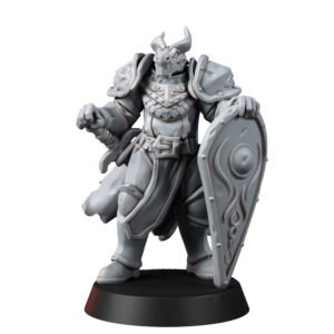 DRAGONBORN - HEAVY KNIGHT