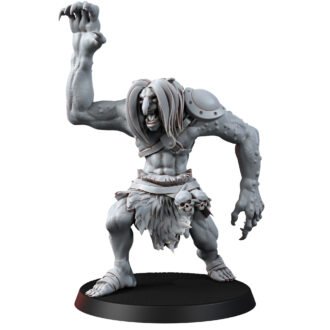 BEASTS - TROLL BRUTE