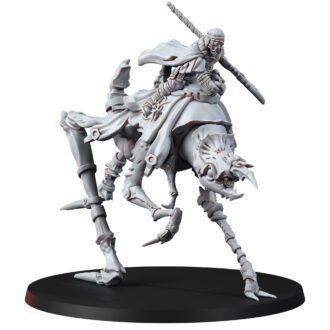 THE ERROISH TRIBE - CHIEF DESERT RIDER