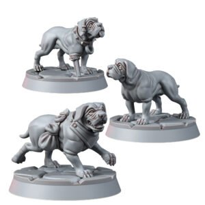 ANIMALS - DOGS HOUND (3U)