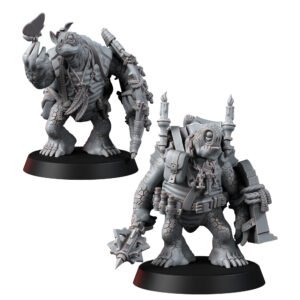 TURTLENOID - FOLK DRUID AND CLERIC