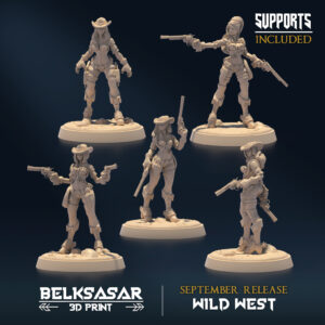 WILD WEST - GUNSLINGER