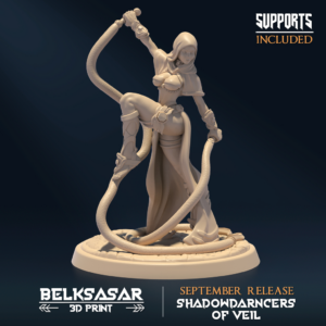 SHADOWDARNCERS OF VEIL - ASSASSIN V1