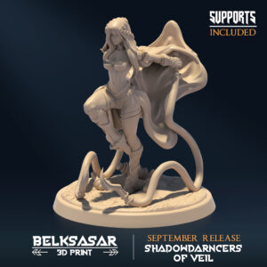 SHADOWDARNCERS OF VEIL - ASSASSIN V2 (NSFW)