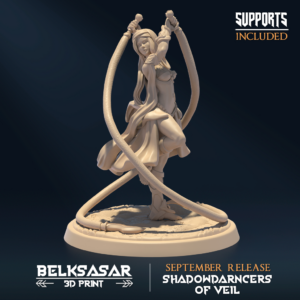 SHADOWDARNCERS OF VEIL - ASSASSIN V3